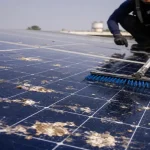 Solar Panel Pigeon Poop Removal Without Warranty Risk